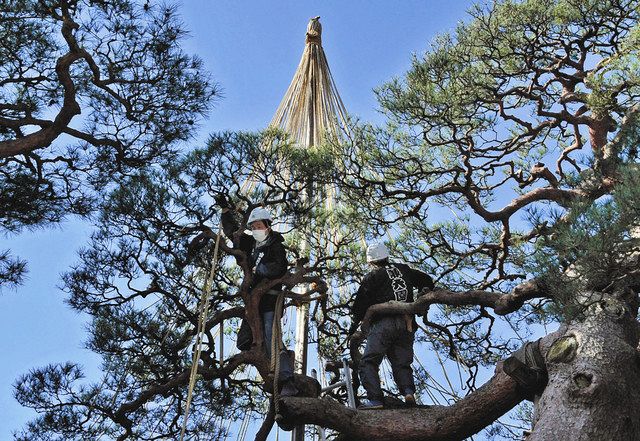 石川 大雪の冬 もう遠くへ 兼六園 雪つり外し 北陸中日新聞web