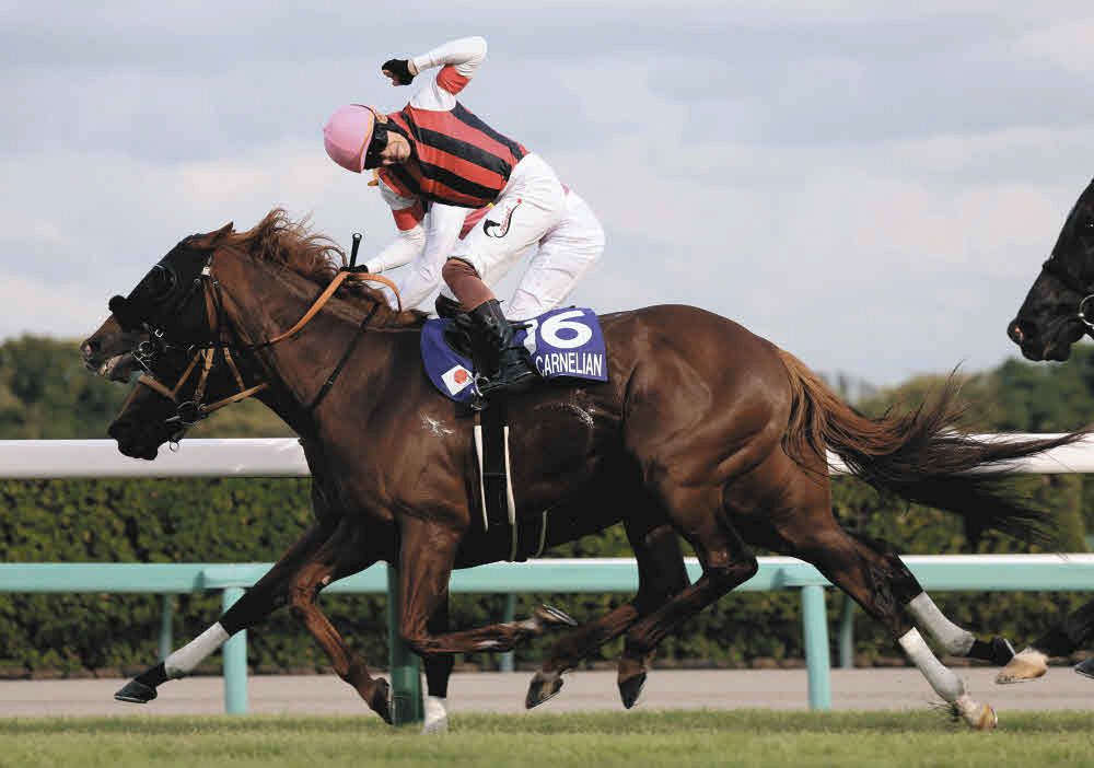 第59回スプリンターズS　三浦皇成J初G1制覇　ウインカーネリアン頑張れ馬券 スプリンターズS】8歳馬ウインカーネリアンがG1初制覇、三浦皇成は騎手