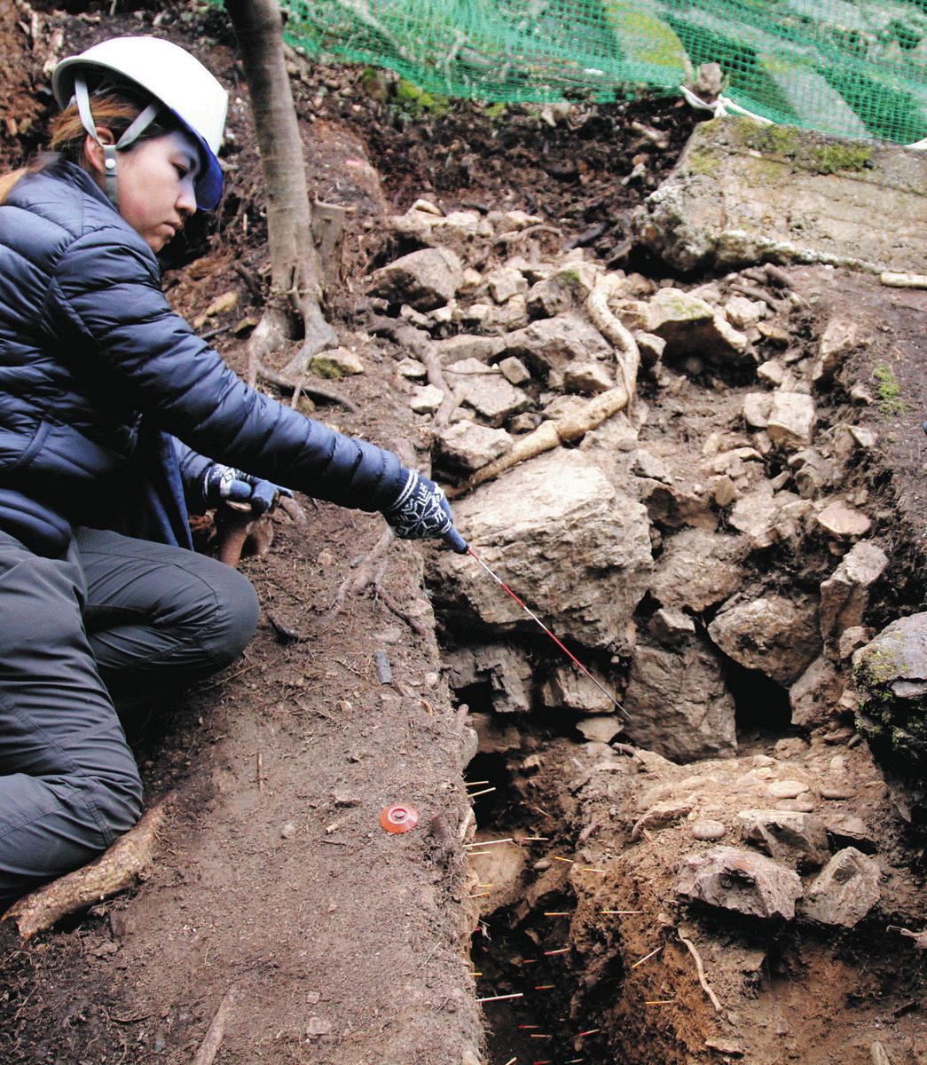 岐阜城の山上部に庭か？ 発掘調査で「円礫」と「かわらけ」が大量出土