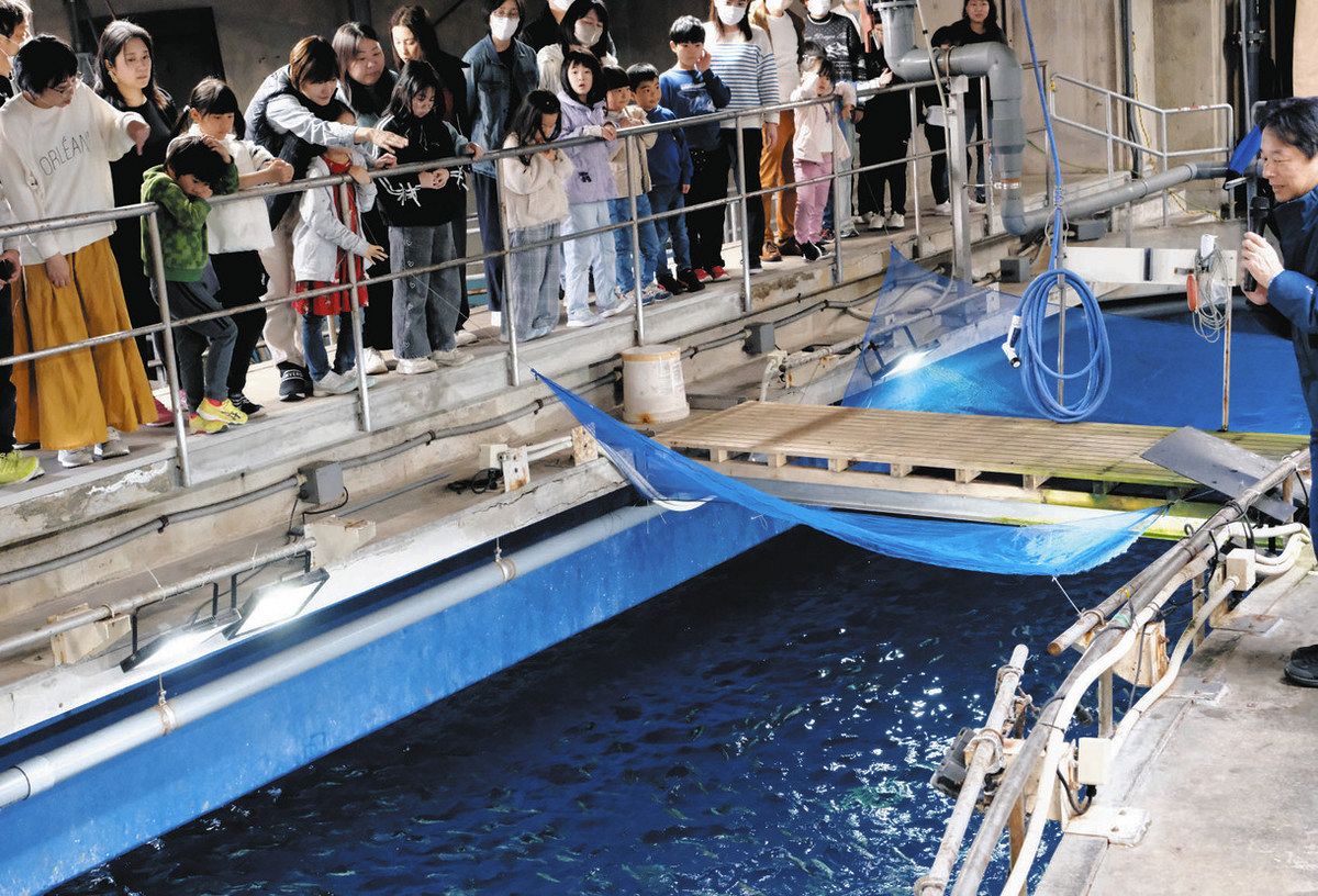 名港水族館で親子らバックヤードを見学 名古屋・港区で体験ツアー：中