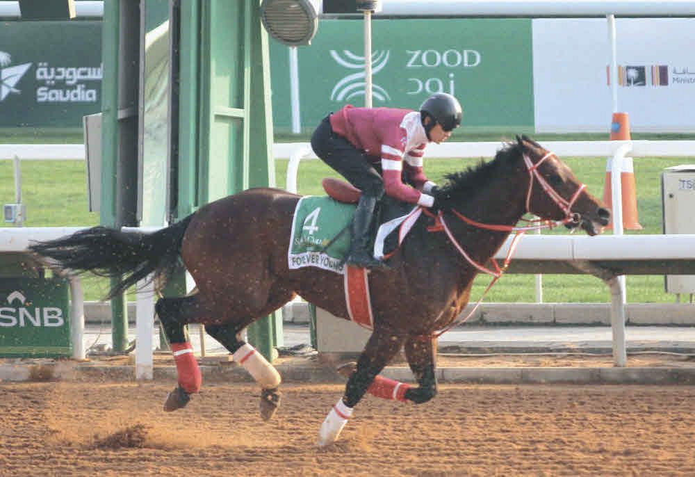 フォーエバーヤングが世界ランク1位をキープ…上位3頭は前回から変動