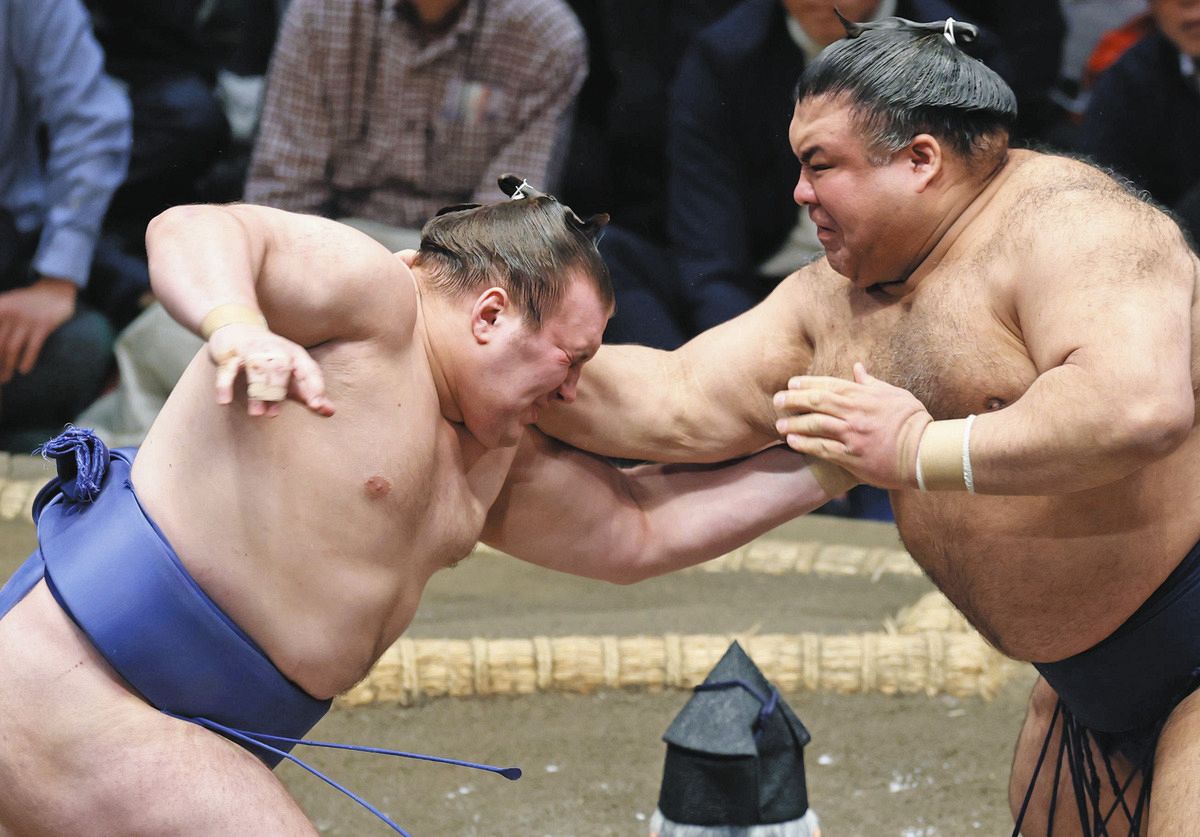 我慢して休まず攻めた」安青錦、高安の猛攻にも反撃のすき与えず 驚異