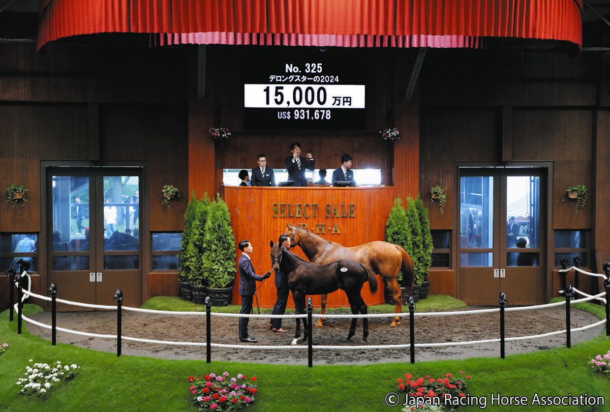 セレクトセール】新種牡馬マカヒキ産駒、ただ1頭の上場馬が1億5000万