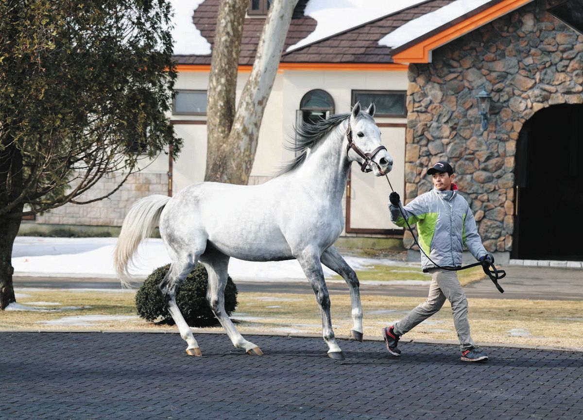 新種牡馬だけでなく１歳馬の展示や２歳馬の公開調教も ビッグレッドFのお披露目は盛りだくさん【村本浩平コラム】：中日スポーツ・東京中日スポーツ