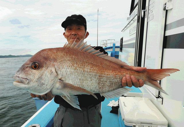 ウタセマダイ開幕 73センチ頭4人62匹と上々 三重県鳥羽市 石鏡沖 中日スポーツ 東京中日スポーツ ウタセマダイ開幕 73センチ頭4人62匹と上々 三重県鳥羽市 石鏡沖 中日スポーツ 東京中日スポーツ