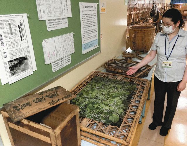 展示されている蚕種箱（手前）や蚕箔＝砺波民具展示室で 