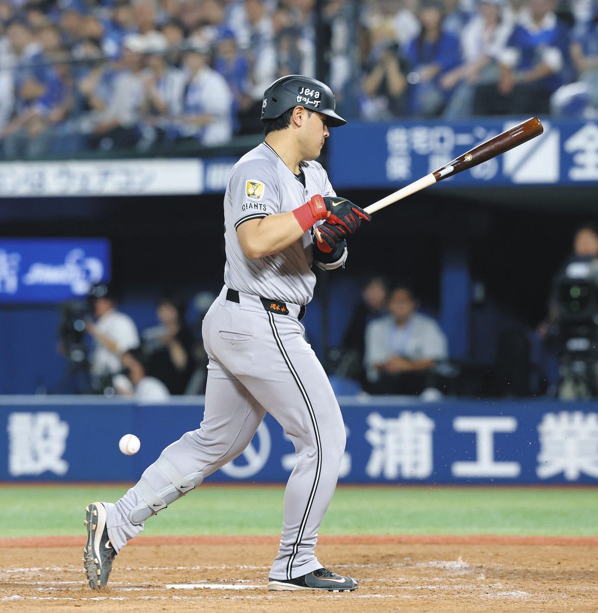 スタジアム騒然…巨人・岡本和真、死球でDeNA・伊勢をにらみつける 一塁