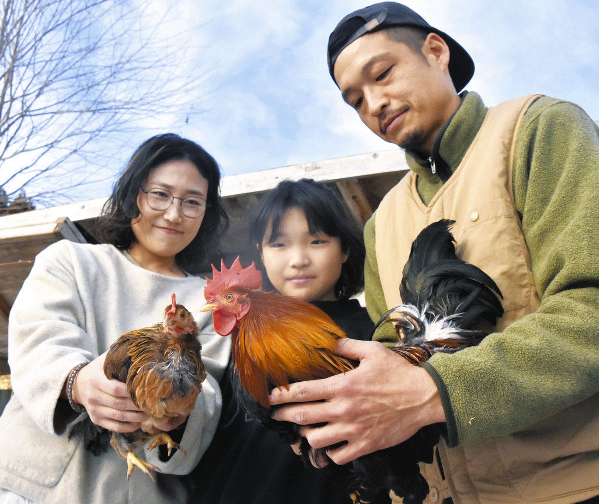 郡上地鶏をご当地で育てる 県畜産研究所から2家庭へ譲渡：中日新聞Web