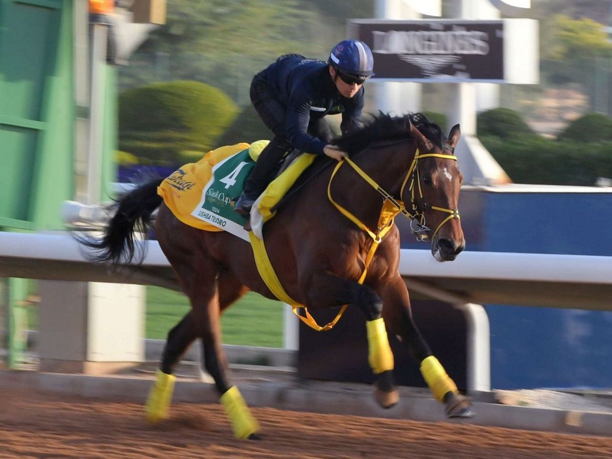 ダーレージャパンベスト 競馬 アダイヤー な