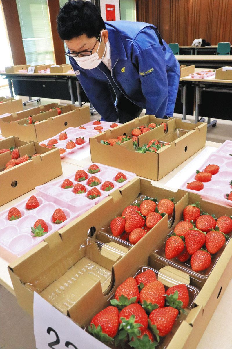 いちごの中  確認用 いちごの中 確認用