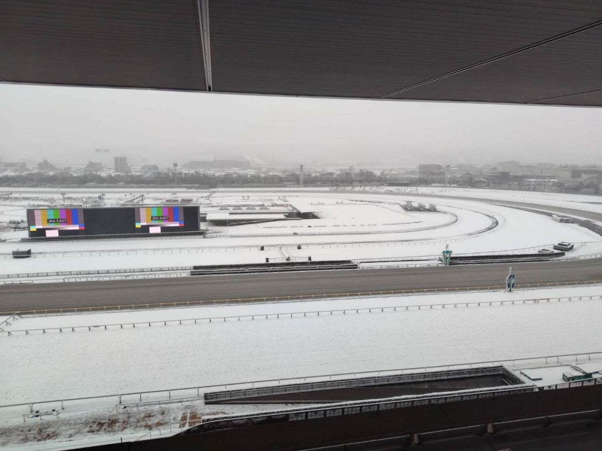 東京 競馬 場 雪