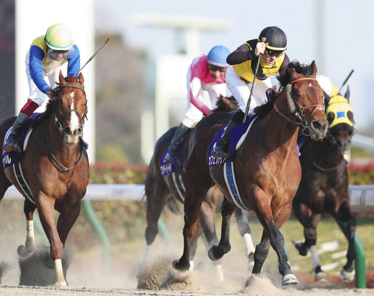 フェブラリーs ルメール騎乗の1人気カフェファラオが直線で鋭く伸びてg1初制覇 状態がよく勝つ自信があった 中日スポーツ 東京中日スポーツ フェブラリーs ルメール騎乗の1人気カフェファラオが直線で鋭く伸びてg1初制覇 状態がよく勝つ自信があった 中日スポーツ 東京中日スポーツ