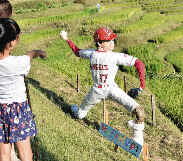 あなたの案山子を丸山千枚田に 熊野市、７月末まで設置作品募集：中日新聞Web