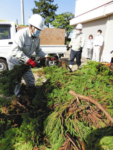 高齢世帯が剪定 枝を砺波市回収 散居村の景観守る実証実験 北陸中日新聞web