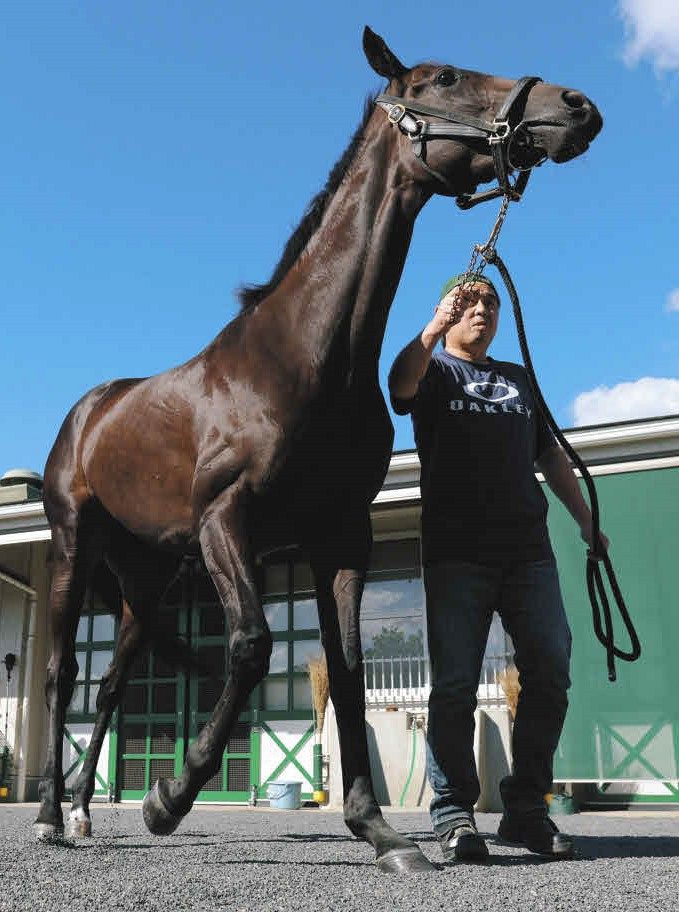 秋華賞】無傷4連勝でG1初挑戦の超新星モンローウォーク 底知れない能力