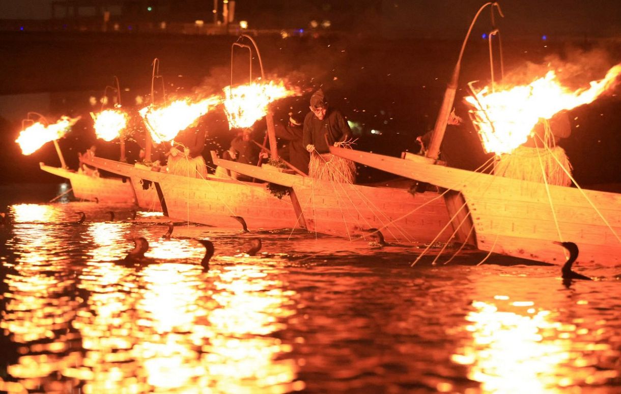 長良川鵜飼の外国人客が過去最多 オーストラリアからのツアー客急増
