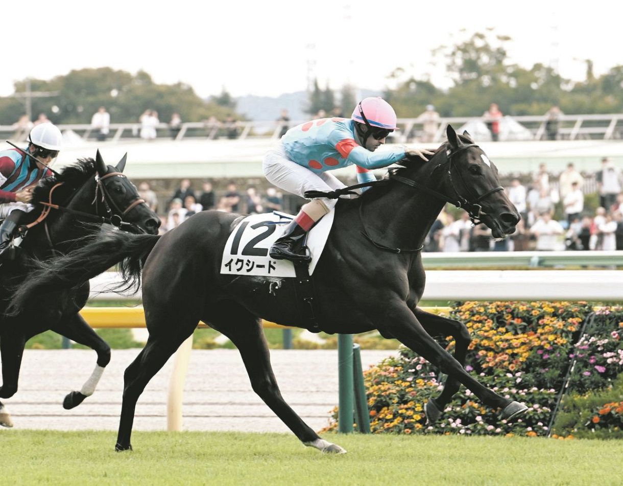 東京5R新馬】イクイノックスの全妹イクシードが直線一気で初陣飾る