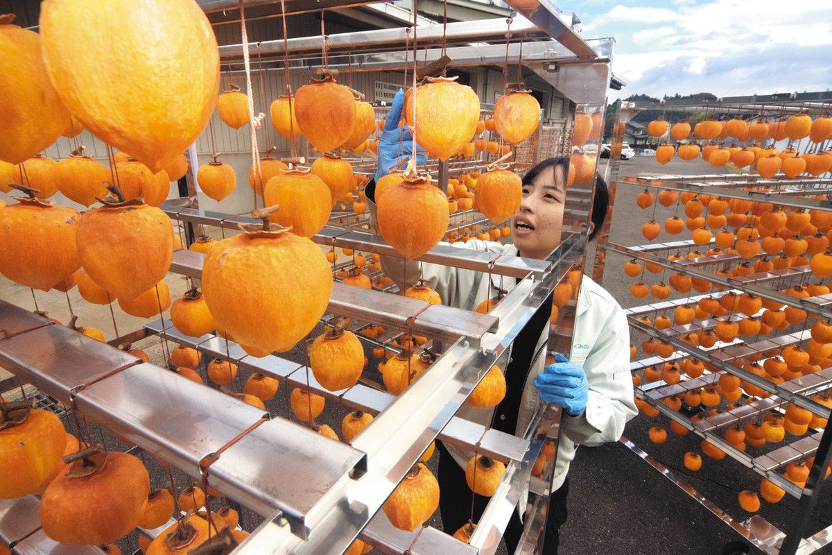 手間をかけ希少価値の甘さ 高級干し柿「堂上蜂屋柿」12月1日予約開始