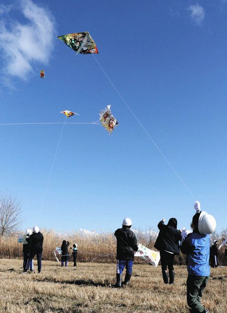 広い河川敷、色とりどり青空に舞う 大垣・川並小が伝統の凧揚げ大会：中日新聞Web