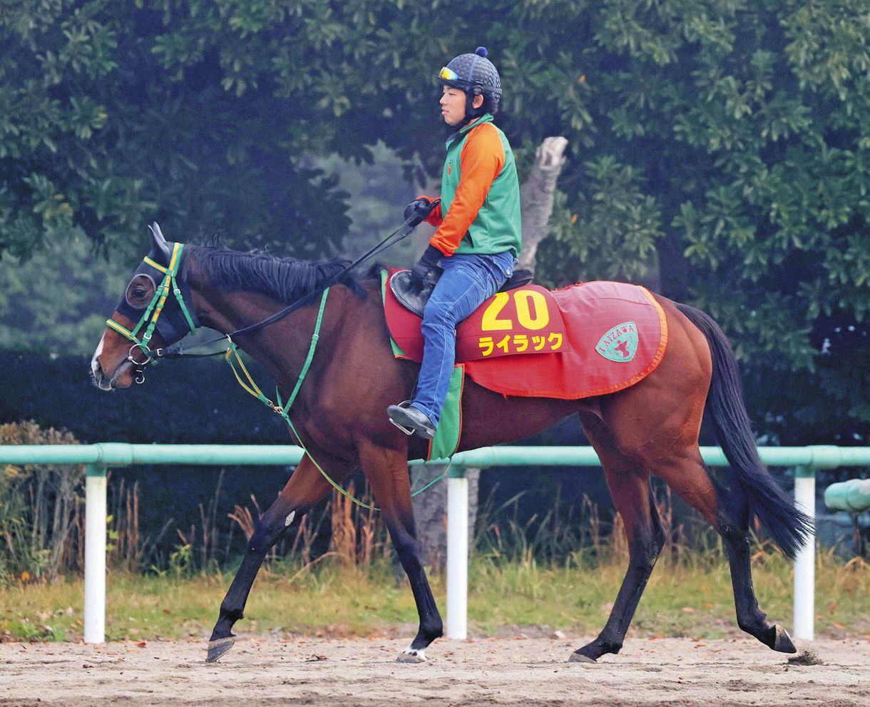 ライラック、調整に不安なし 研ぎ澄まされた豪脚発揮でチャンスあり