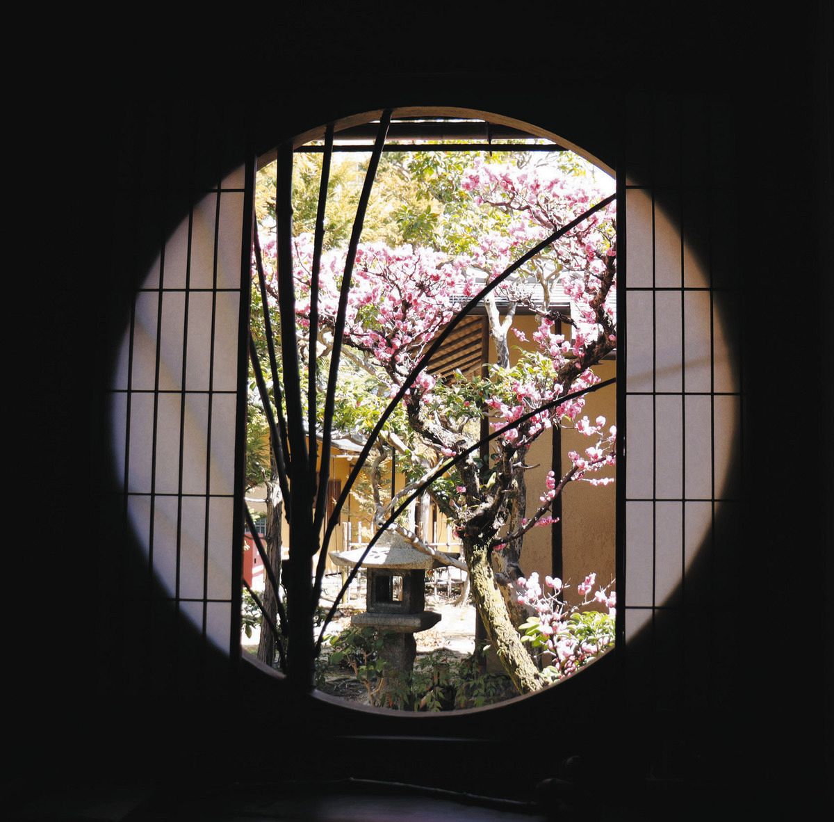竹の間」から、垣間見えるは梅と松 大津市の国重文・蘆花選浅水荘：中