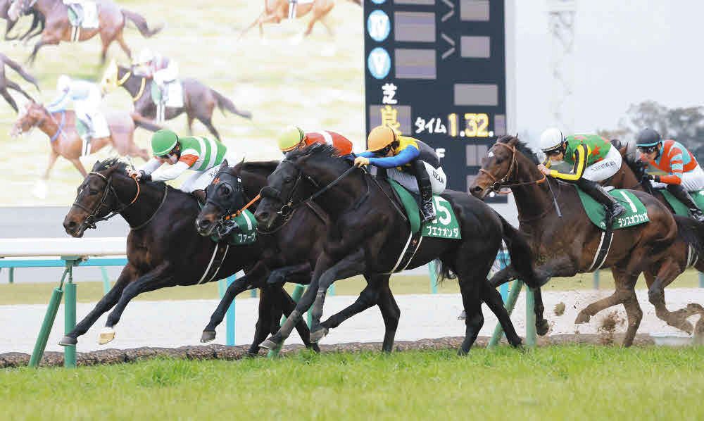 京都金杯】単勝4番人気ブエナオンダがゴール前差し切り重賞初勝利、3連