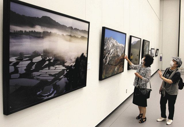 季節の風景写した大判写真やフィルムの魅力 県美術館で展示：中日新聞Web
