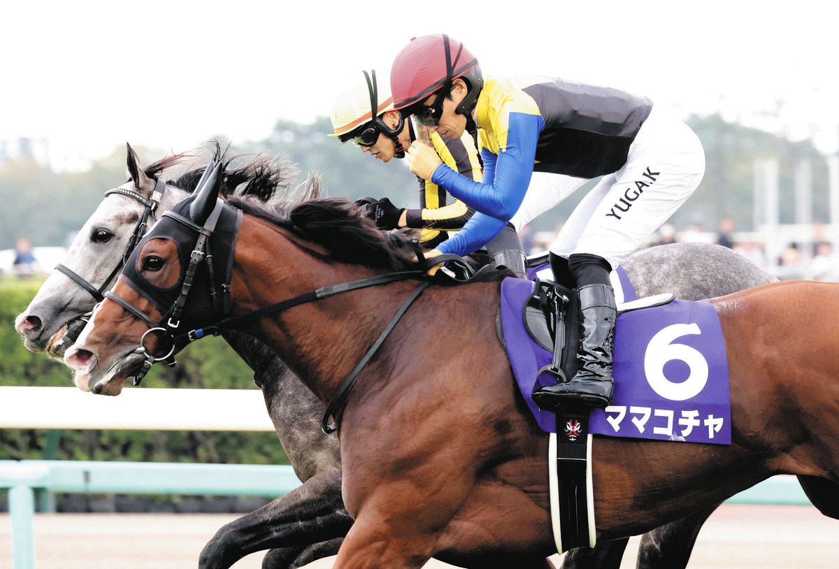 スプリンターズS きわどい首の上げ下げを制したママコチャ、鞍