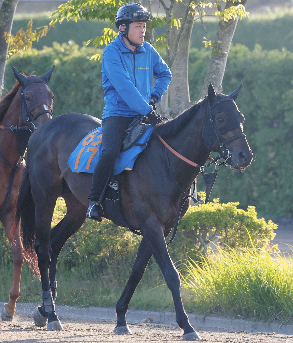 平安S・傾向と対策】馬券に絡んだことがない前走3勝クラス リオン