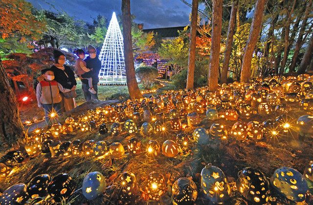 柔らかな光が庭園包む 県陶芸館 越前焼４０００個の陶あかり：中日新聞Web