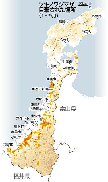 石川 クマ目撃 金沢以南に集中 市街地は川沿いに多く 北陸中日新聞web