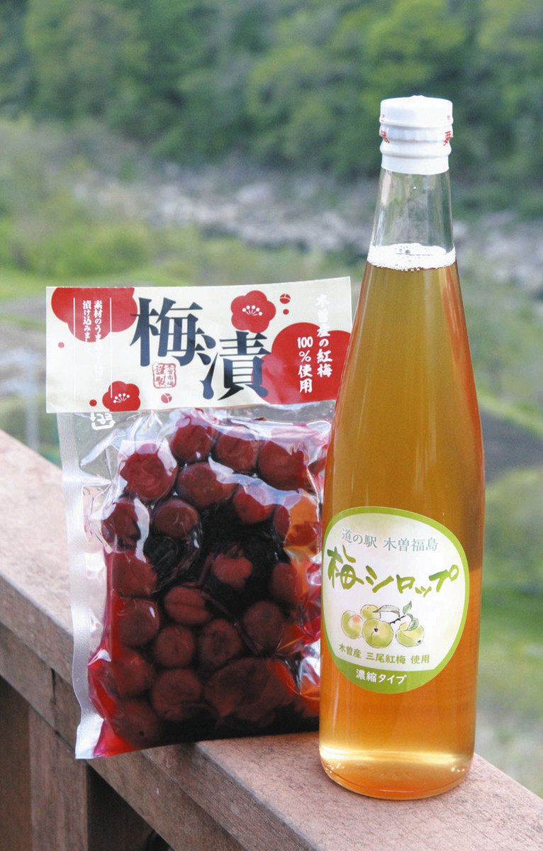 口に広がる甘み・酸味・まろやかさ 道の駅木曽福島で三尾紅梅ソフト