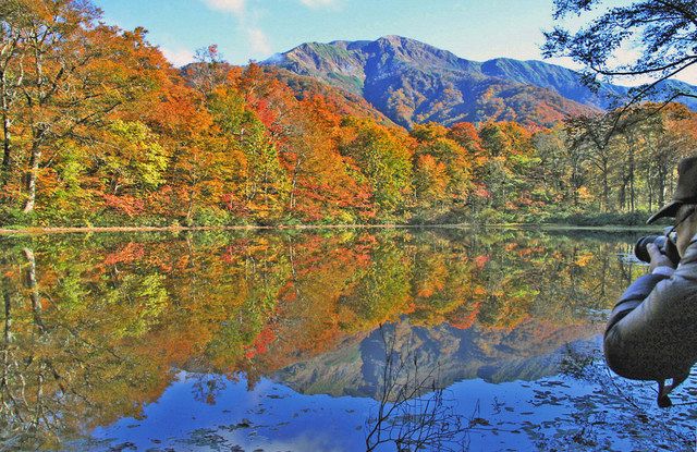 水面に映る絶景、秋色の絵画 大野の刈込池で紅葉見頃：中日新聞Web