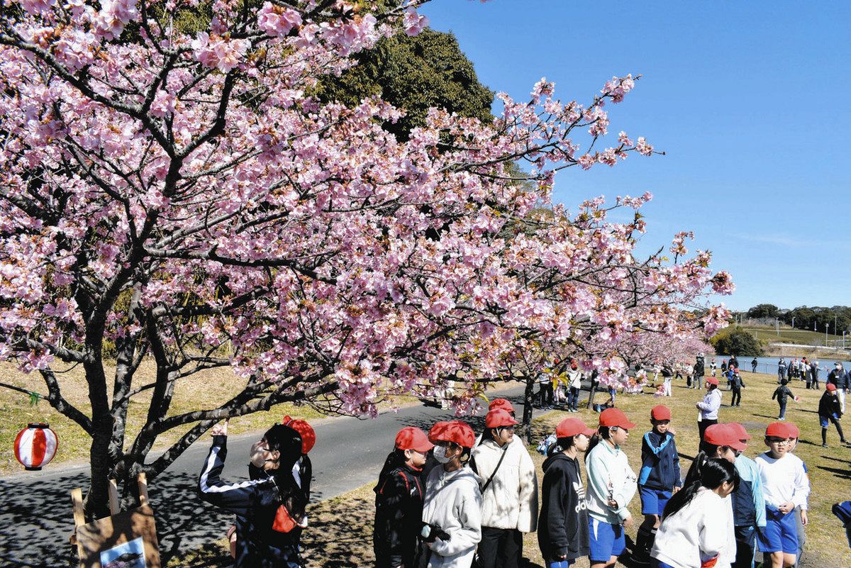 気分は春色：中日新聞しずおかWeb