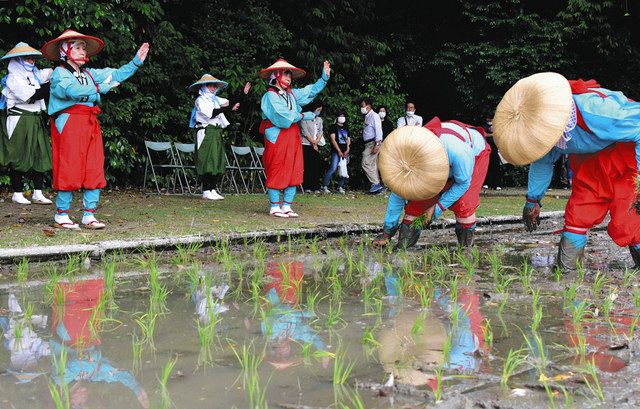 白山・若宮八幡宮 伝統の御田植神事 歌や踊りで風情：北陸中日新聞Web