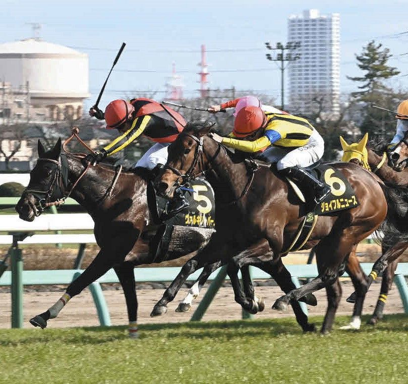 中山10R・東風S】追い比べ制した4番人気ヴァルキリーバースがオープン