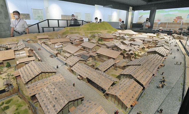 石敷き遺構や義景の館再現したジオラマ 10月、一乗谷朝倉氏遺跡