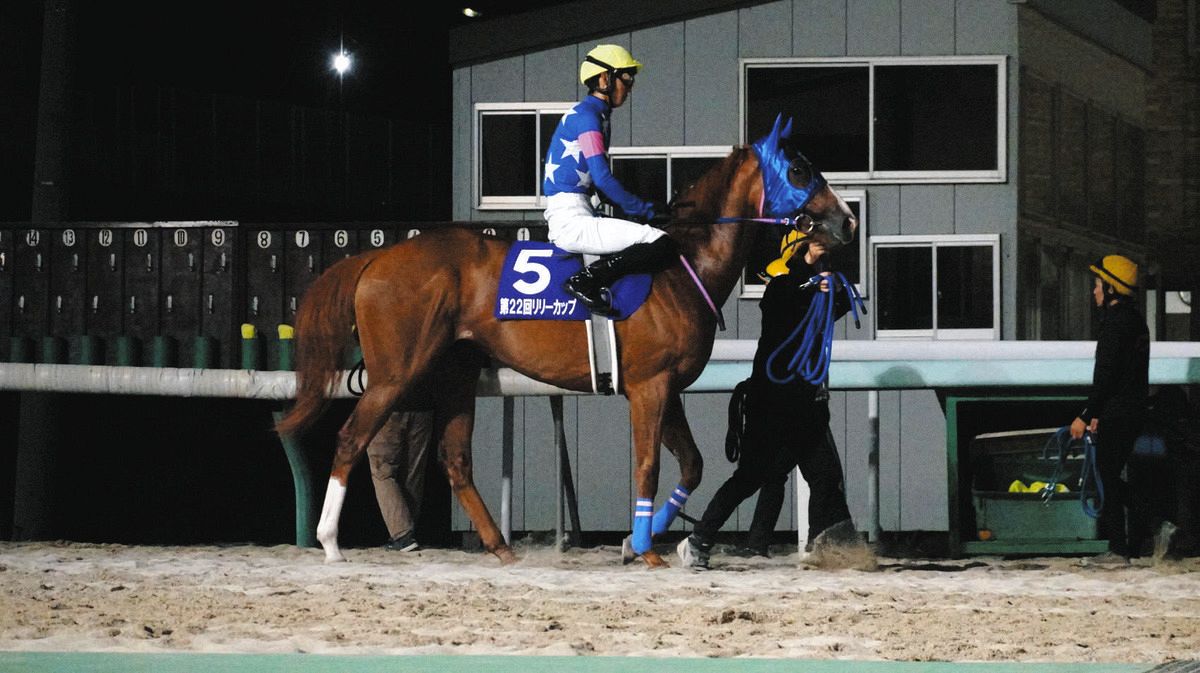 笠松競馬・ラブミーチャン記念】ミスティライズが底力みせる 兵庫の