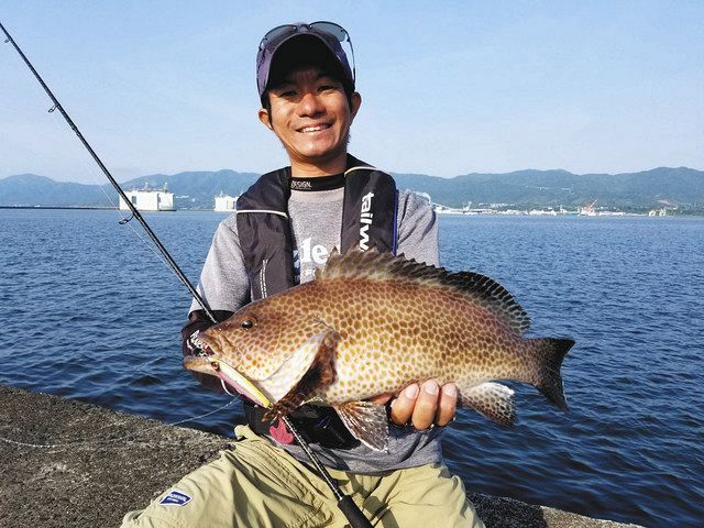 九州発 河野剛志の釣り日誌 鹿児島の堤防でオオモンハタ狙う 中日スポーツ 東京中日スポーツ