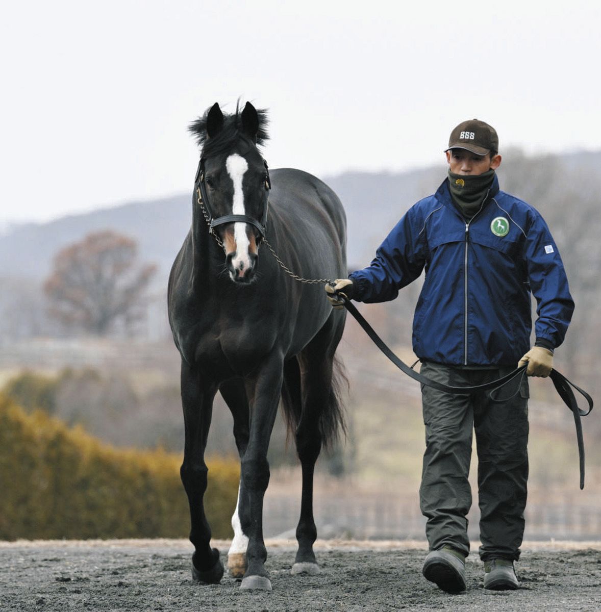 25年ドバイターフ優勝馬ソウルラッシュが競走馬登録抹消 今後は北海道