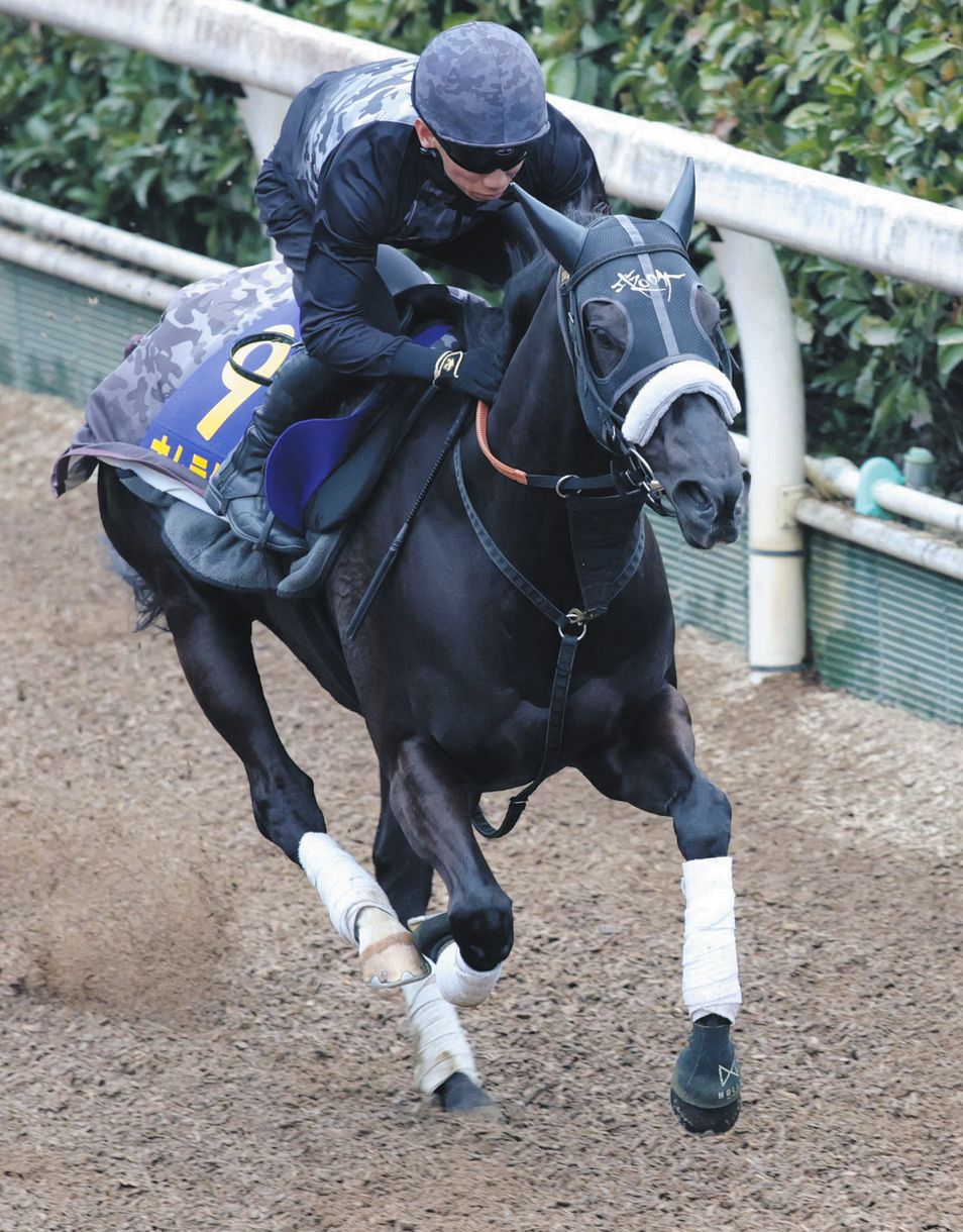 熊沢重文さんの二刀流予想】高松宮記念…相棒・浜中俊騎手を背に乗せ