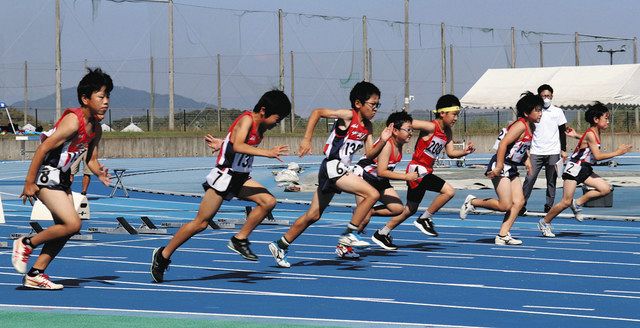 体育小学生盗撮 