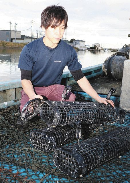 石川 養殖用かごで 能登かき美味 身がしっかり 付着物なし 北陸中日新聞web