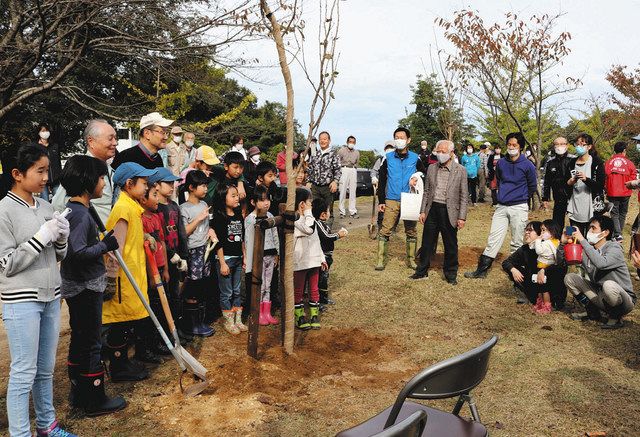23年植え続け 千本桜が成就 小松 東山町 マウンテンバイク場 北陸中日新聞web