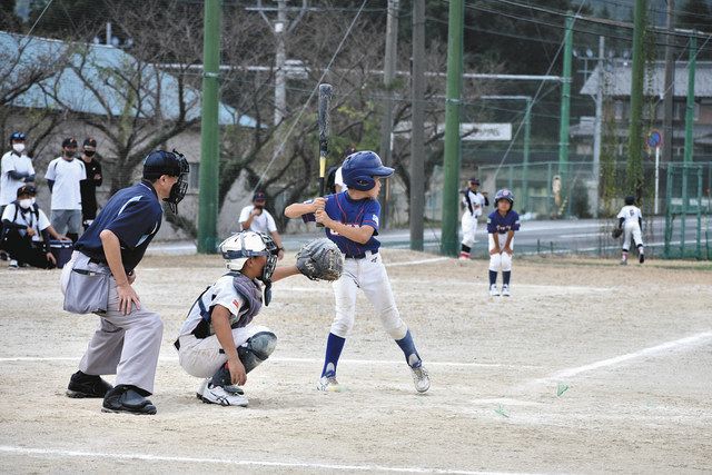 米原の近江スターズ優勝 少年少女野球大会いぶきタケルカップ 中日新聞web