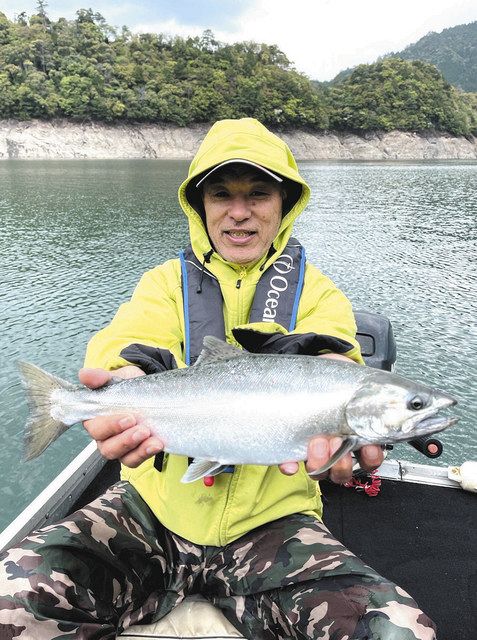 濃いぞサツキマス 釣友と２人４５センチ頭３匹 奈良県下北山村 池原 