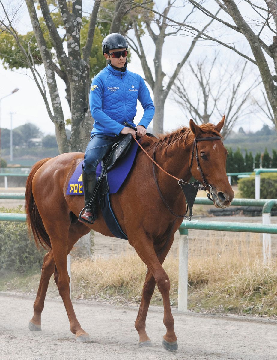 海外騎乗成績】アロヒアリイが仏G2で重賞初勝利 ルメールは