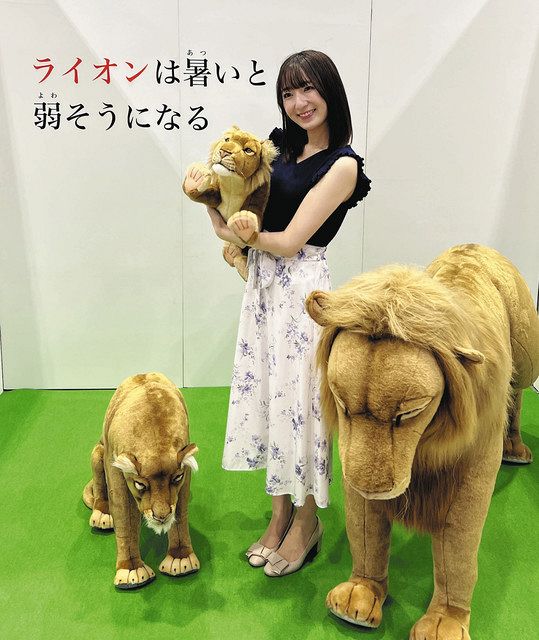 気高くて強靭、知能も高い百獣の王 ライオンさんの銀貨 f7f3c88ce5df6a1bc2f6393f43e665
