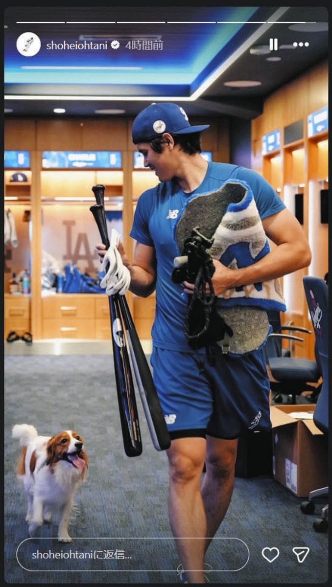 ◇大谷翔平、投げたボールを取りに走る愛犬デコピン【写真複数】：中日