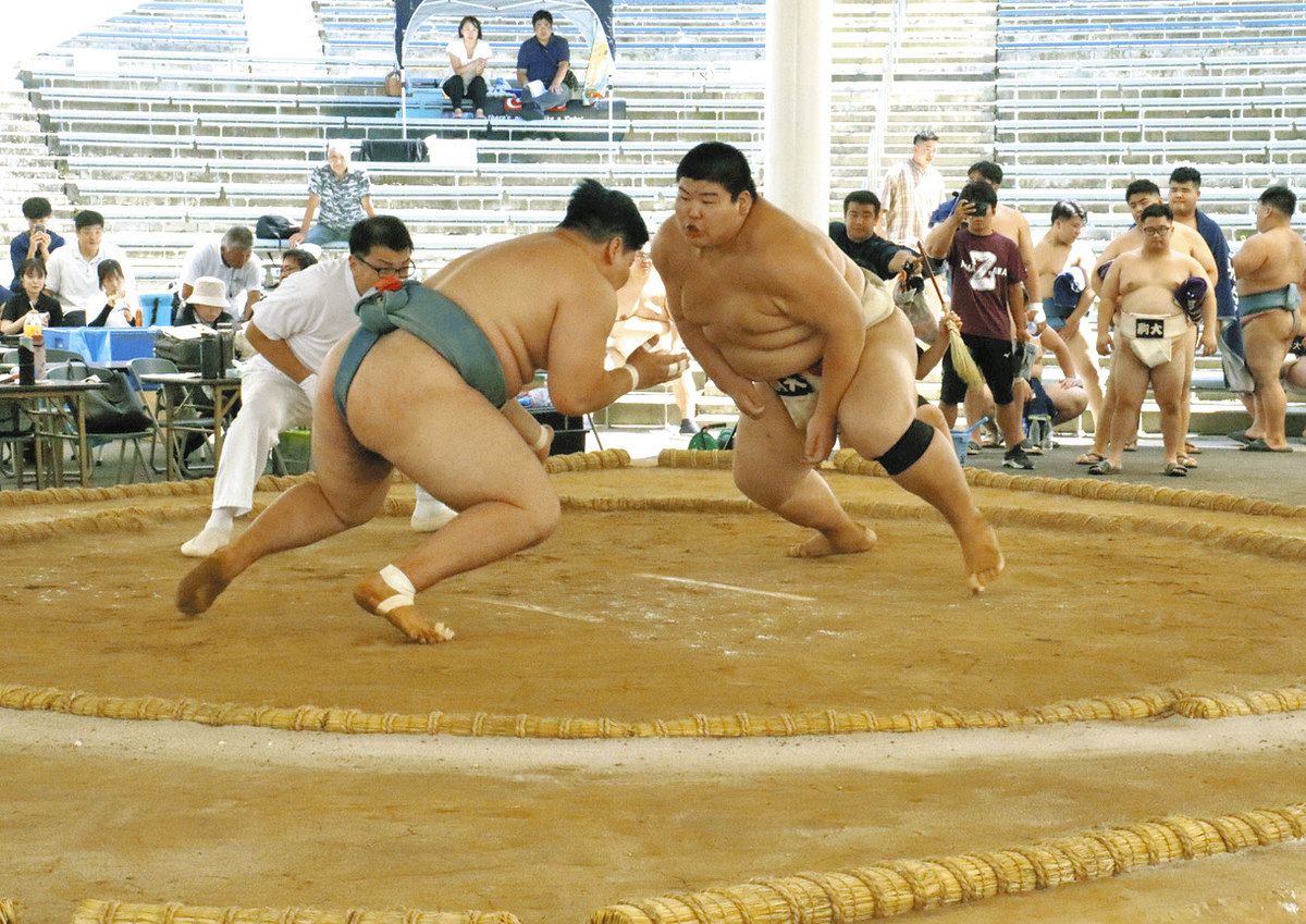 全日本大学相撲金沢大会 金沢学院・篠 個人V：北陸中日新聞Web
